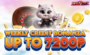 wildcity-bonus2